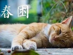 犯春困的(de)搞笑說(shuō)說(shuō) 白天犯困的(de)幽默說(shuō)說(shuō)