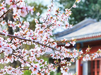 一(yī / yì ／yí)句話說(shuō)說(shuō)經典有哲理 2019最火的(de)哲理句子(zǐ)發朋友圈的(de)
