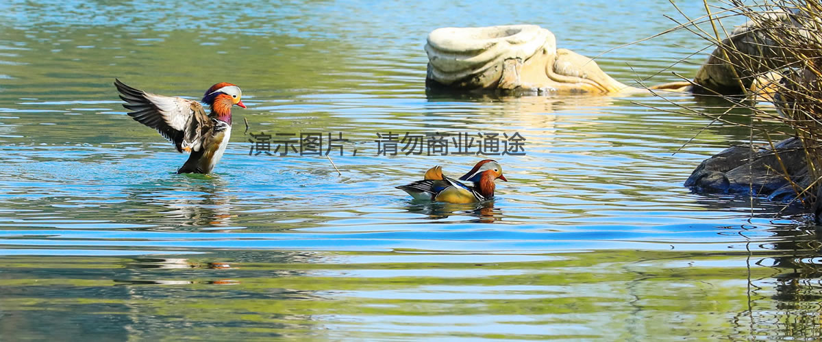 最好的(de)地(dì / de)方，是(shì)沒去過的(de)地(dì / de)方。最好的(de)時(shí)光，是(shì)回不(bù)來(lái)的(de)時(shí)光