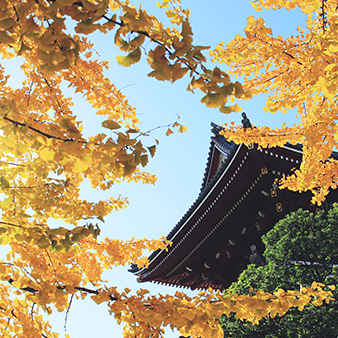 風景攝影