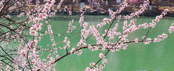 笑話大(dà)全